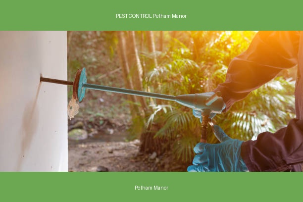 PEST CONTROL Pelham Manor